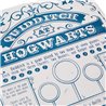 Harry Potter Latający Znicz