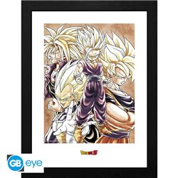 Plakat w ramce - Dragon Ball - Super Saiyans (30x40cm)