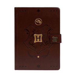 Notatnik A5 Premium - Harry Potter - Quidditch