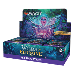 Magic The Gathering Wilds of Eldraine Set Booster Display (30) (przedsprzedaż)