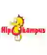 Hippocampus